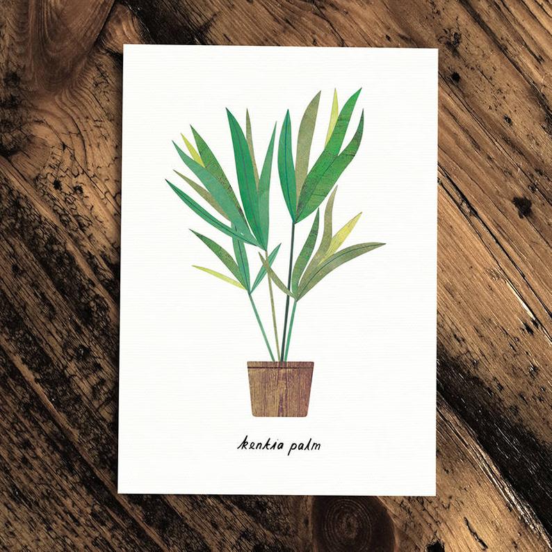 Kentia Palm - Greeting Card - The Green Room Flower Company