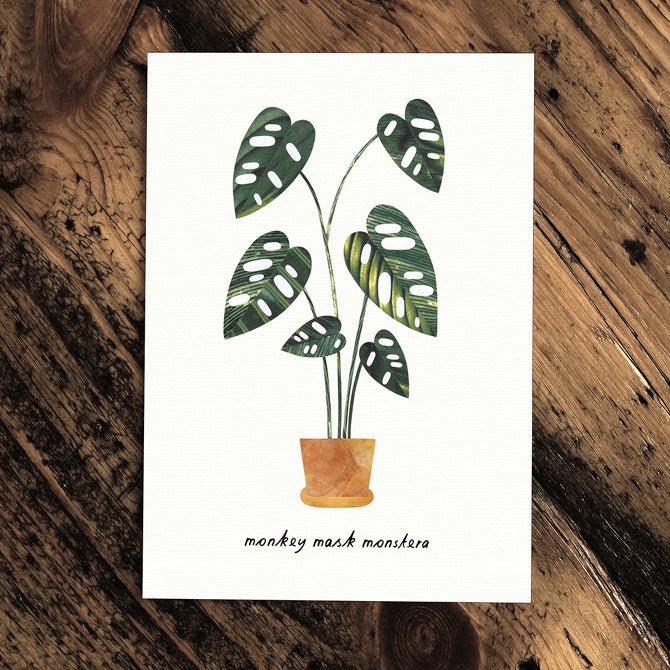 Monkey Mask - Greeting Plant - The Green Room Flower Company