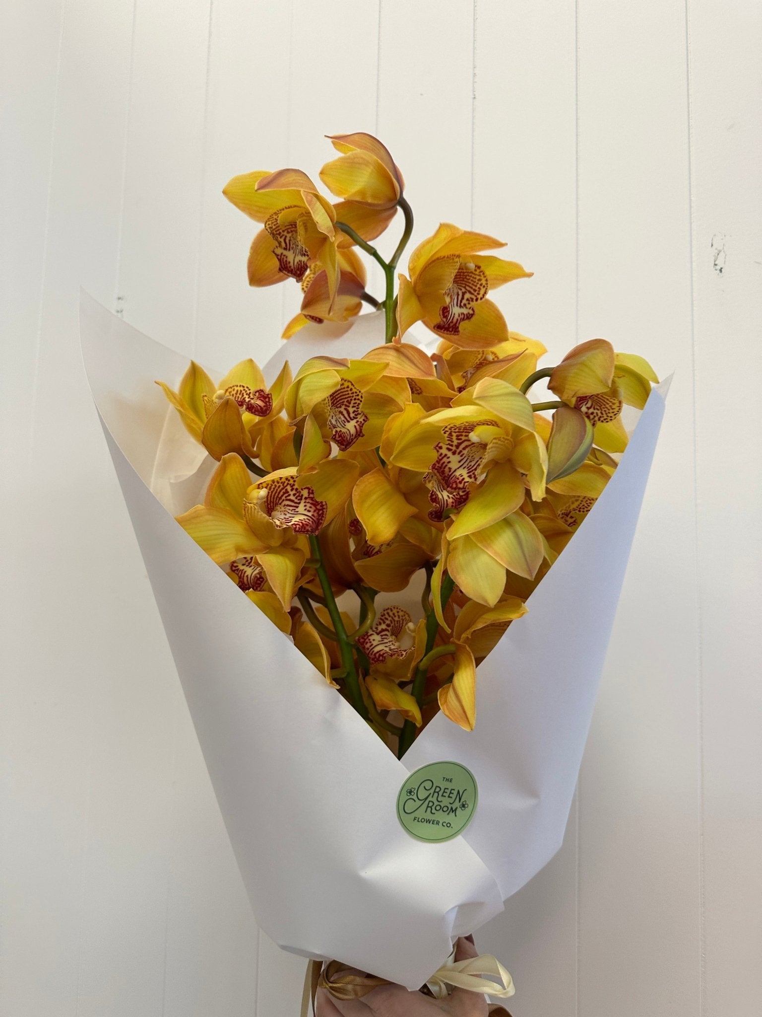 Orchid Stem Special! - The Green Room Flower Company