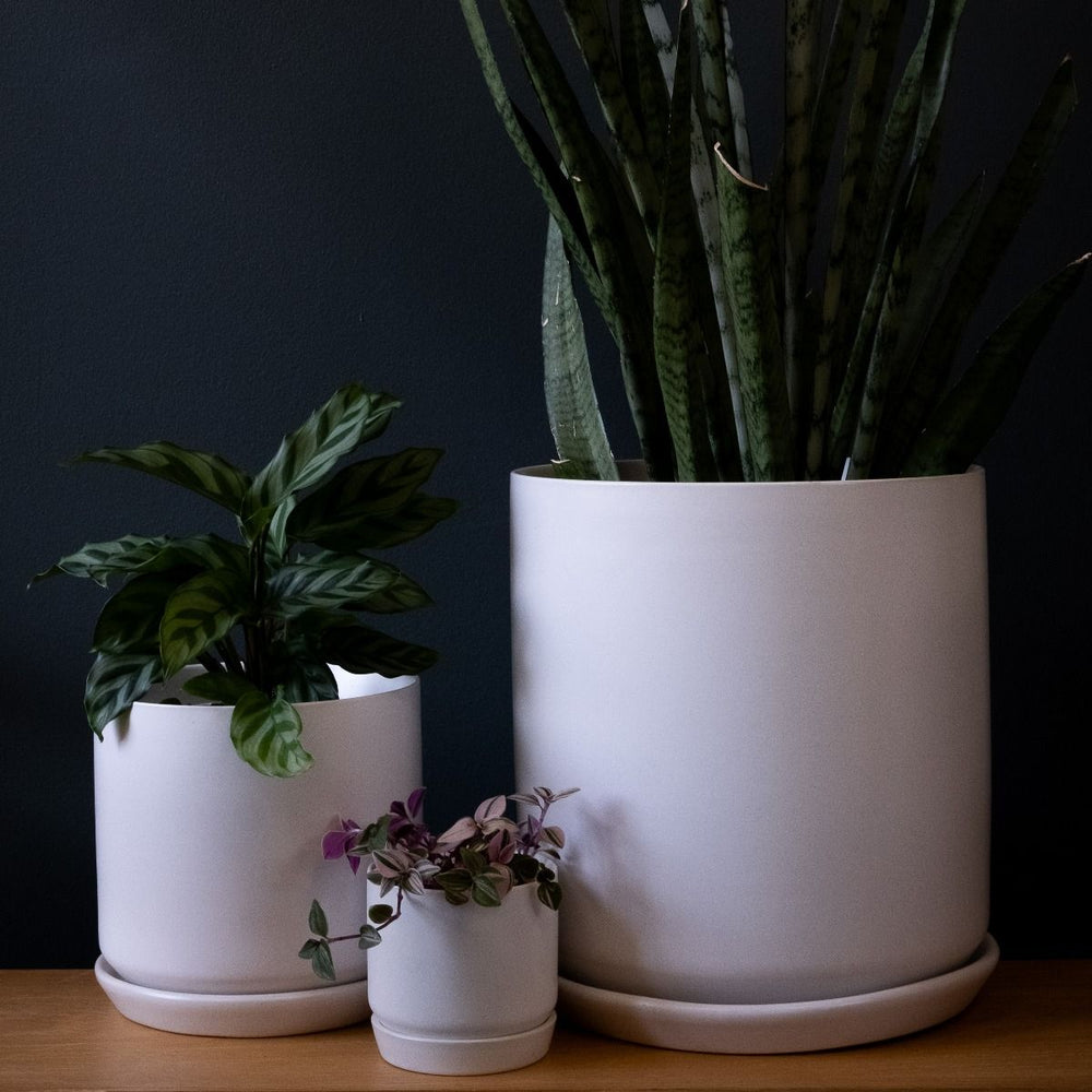 Oslo Planter - The Green Room Flower Company