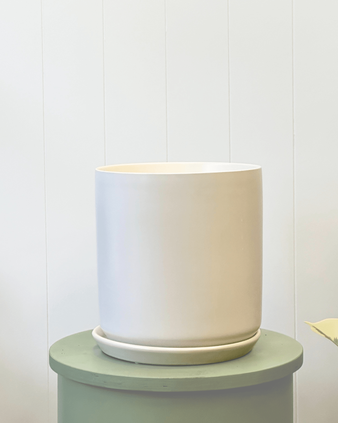 Oslo Planter Ice White - The Green Room Flower Company