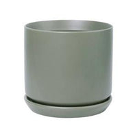 Oslo Planter Sage - The Green Room Flower Company