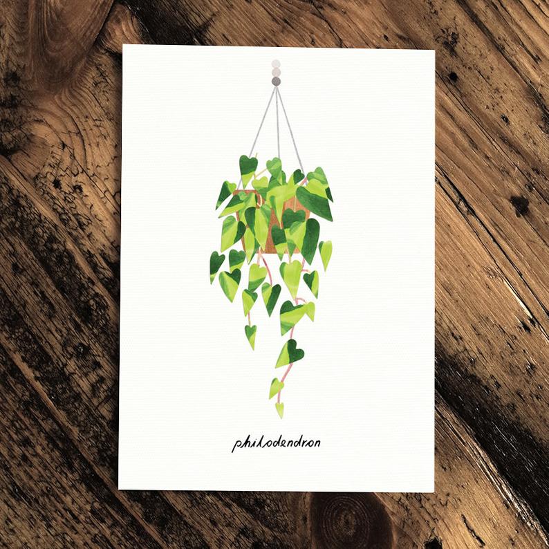 Philodendron - Greeting Card - The Green Room Flower Company