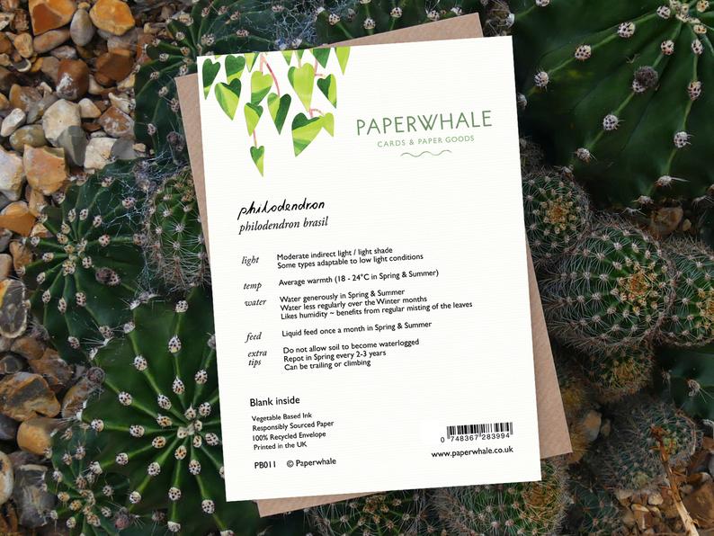 Philodendron - Greeting Card - The Green Room Flower Company