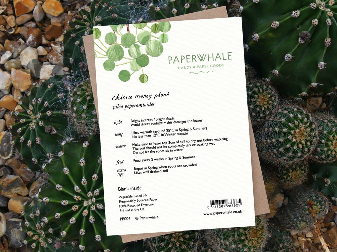 Pilea Peperomioides - Greeting Card - The Green Room Flower Company