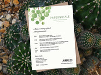 Pilea Peperomioides - Greeting Card - The Green Room Flower Company
