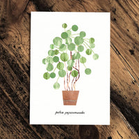Pilea Peperomioides - Greeting Card - The Green Room Flower Company
