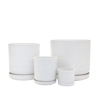 Portland Pot White - The Green Room Flower Company