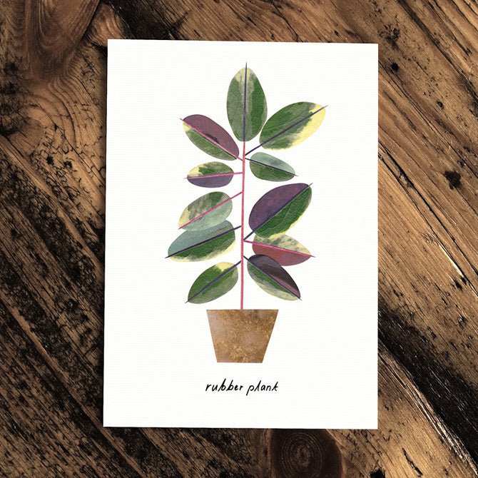 Rubber Plant - Greeting Card - The Green Room Flower Company