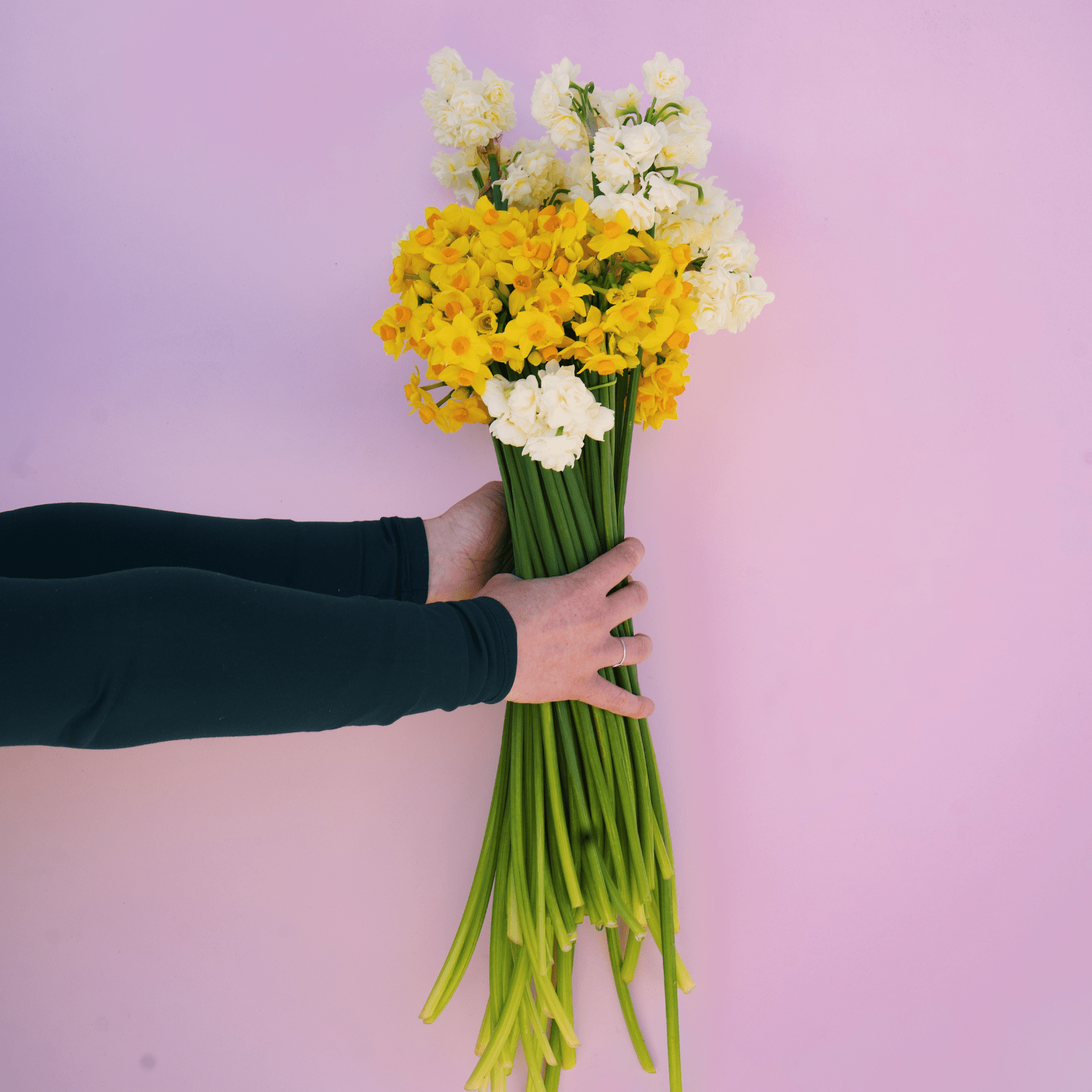 Seasonal Special: Daffodils - The Green Room Flower Company