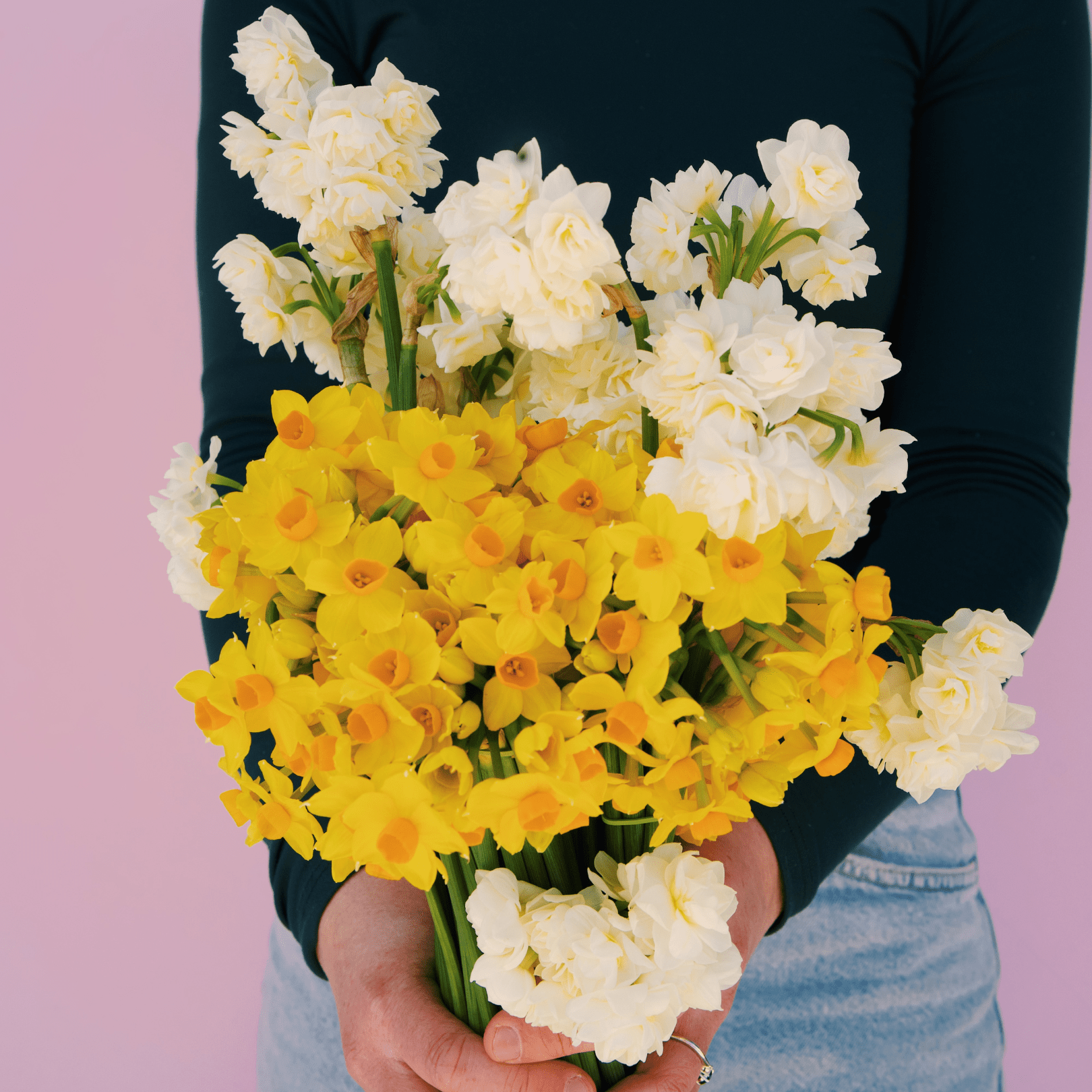 Seasonal Special: Daffodils - The Green Room Flower Company