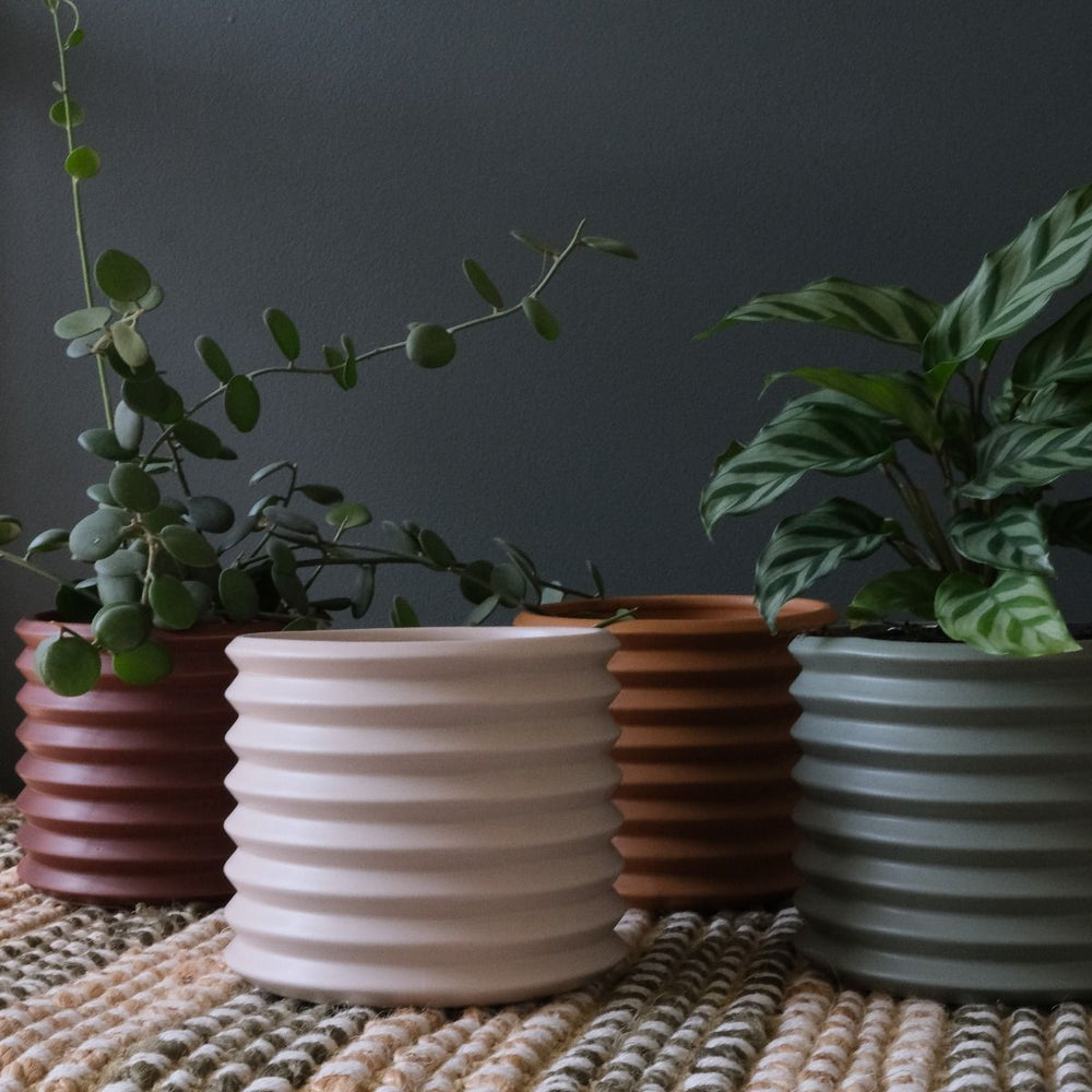 Small Berlin Planter - The Green Room Flower Company
