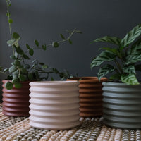 Small Berlin Planter - The Green Room Flower Company