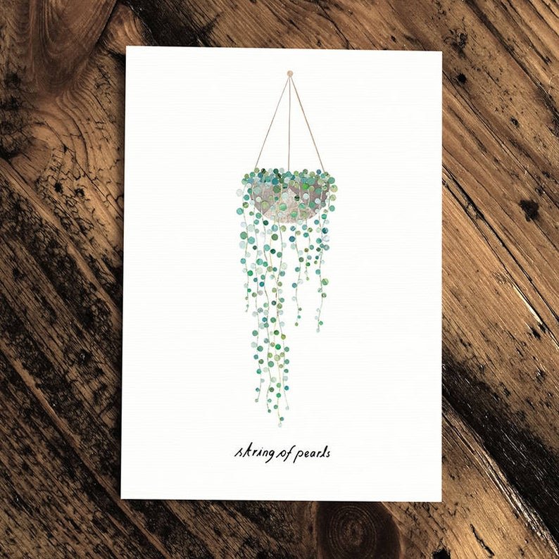 String of Pearls - Greeting Cards - The Green Room Flower Company
