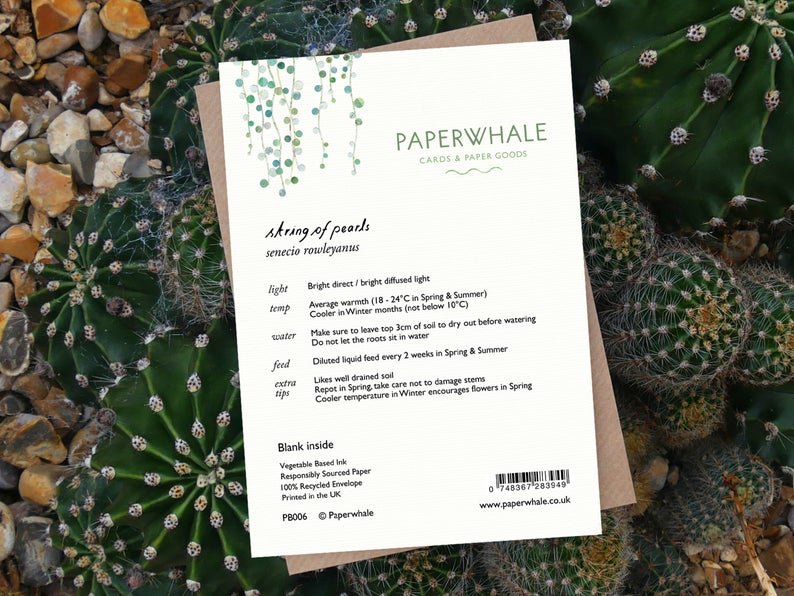 String of Pearls - Greeting Cards - The Green Room Flower Company
