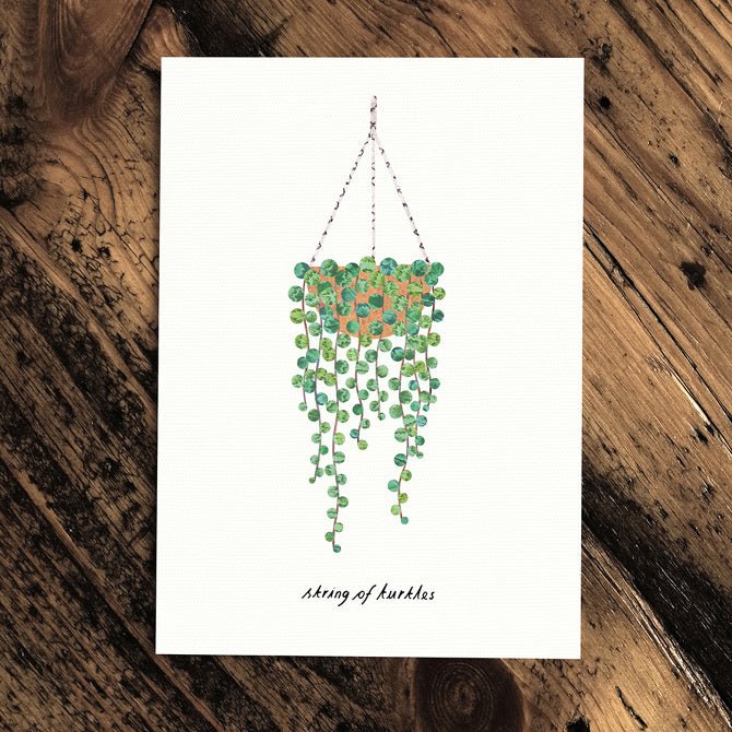 String of turtles - Greeting Card - The Green Room Flower Company