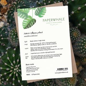 Swiss Cheese Plant - Greeting Card - The Green Room Flower Company