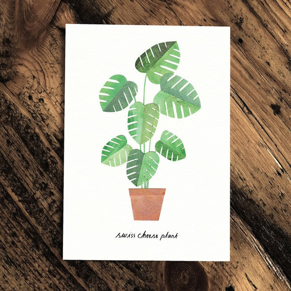 Swiss Cheese Plant - Greeting Card - The Green Room Flower Company