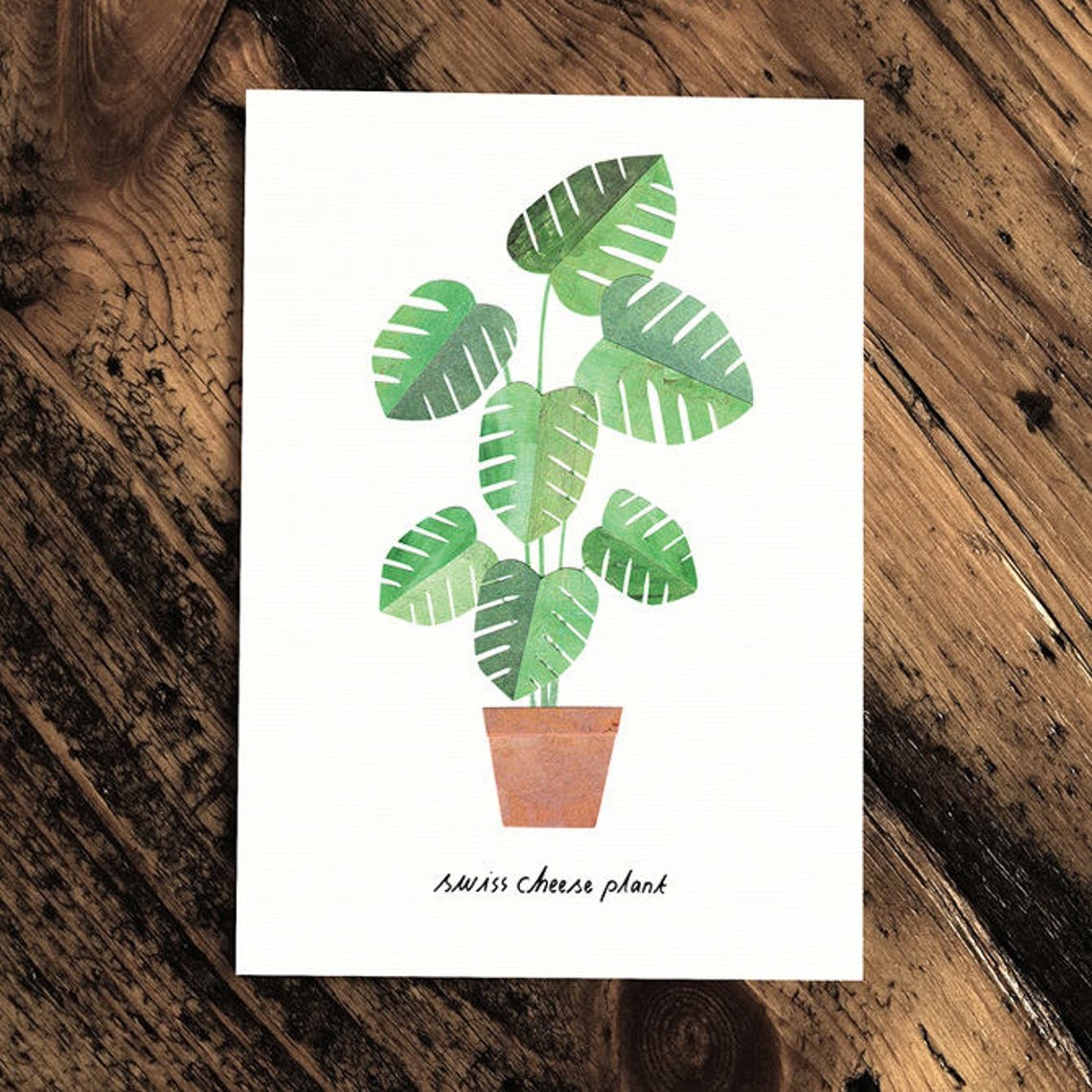 Swiss Cheese Plant - Greeting Card - The Green Room Flower Company