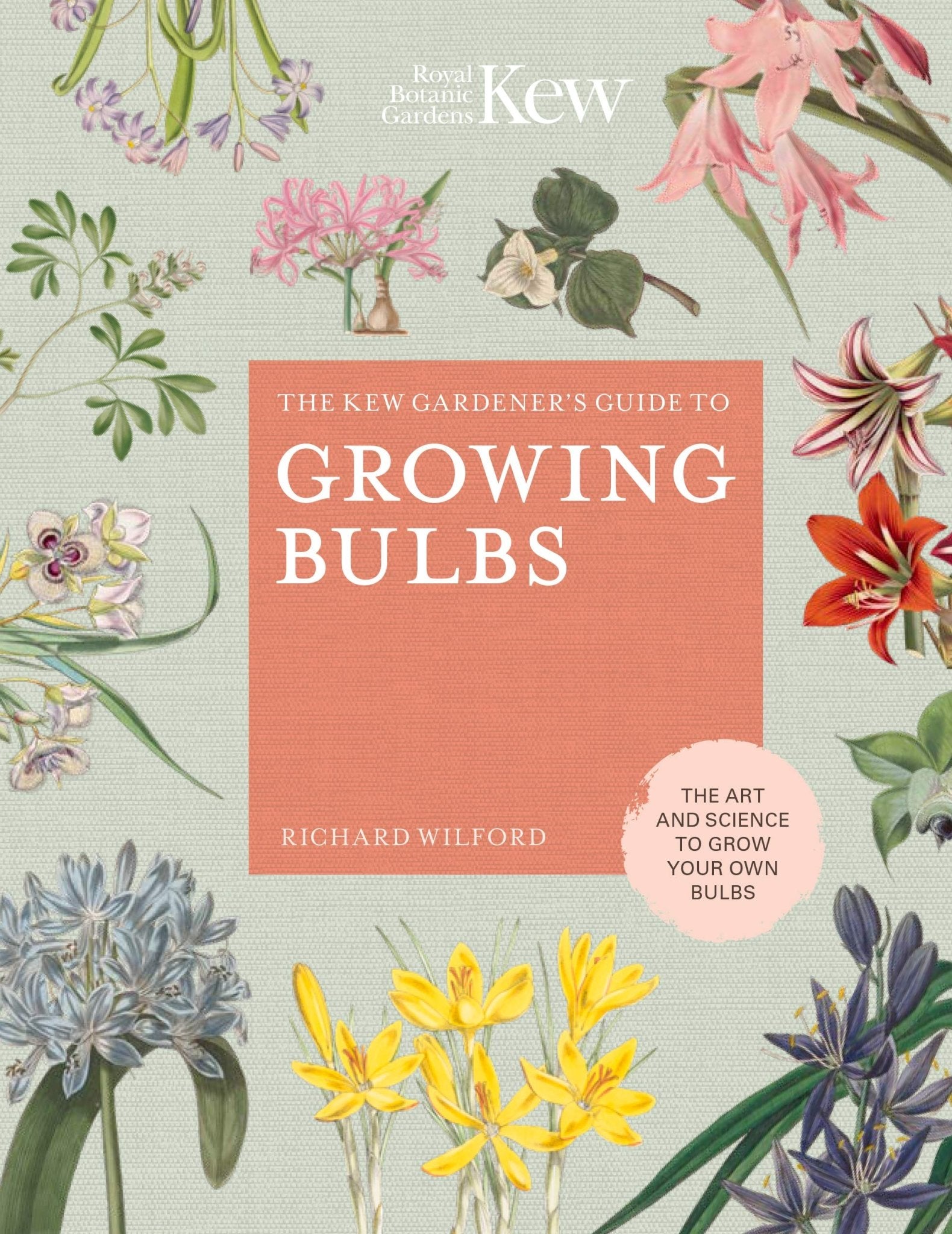 The Kew Gardeners Guide to Growing Bulbs - The Green Room Flower Company