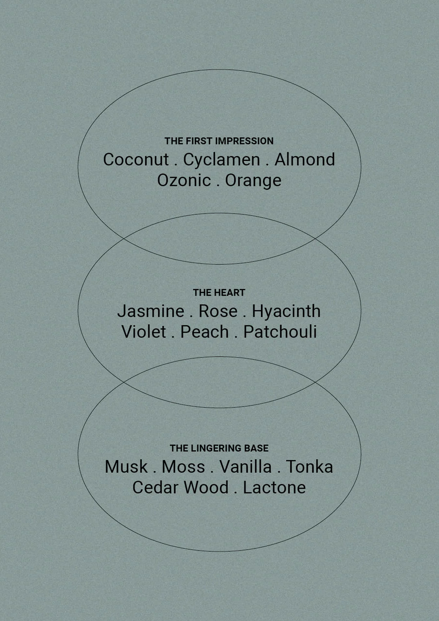 Therapy Hand and Body Lotion 500ml Coconut and Water - The Green Room Flower Company