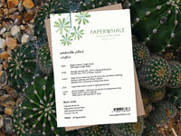 Umbrella Plant - Greeting Card - The Green Room Flower Company