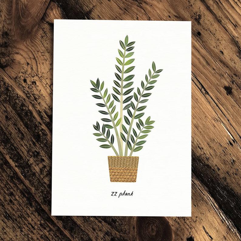 ZZ Plant - Greeting Card - The Green Room Flower Company