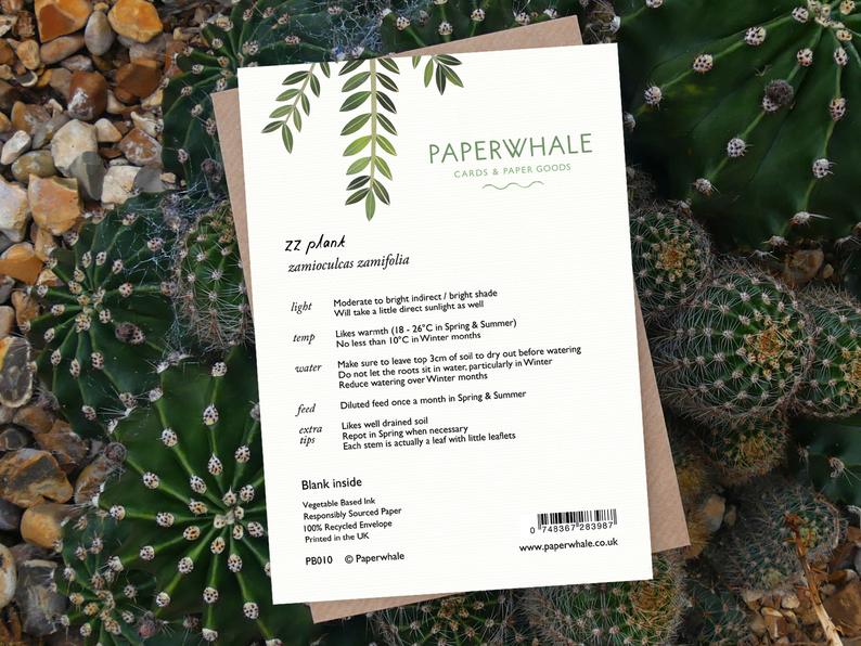 ZZ Plant - Greeting Card - The Green Room Flower Company