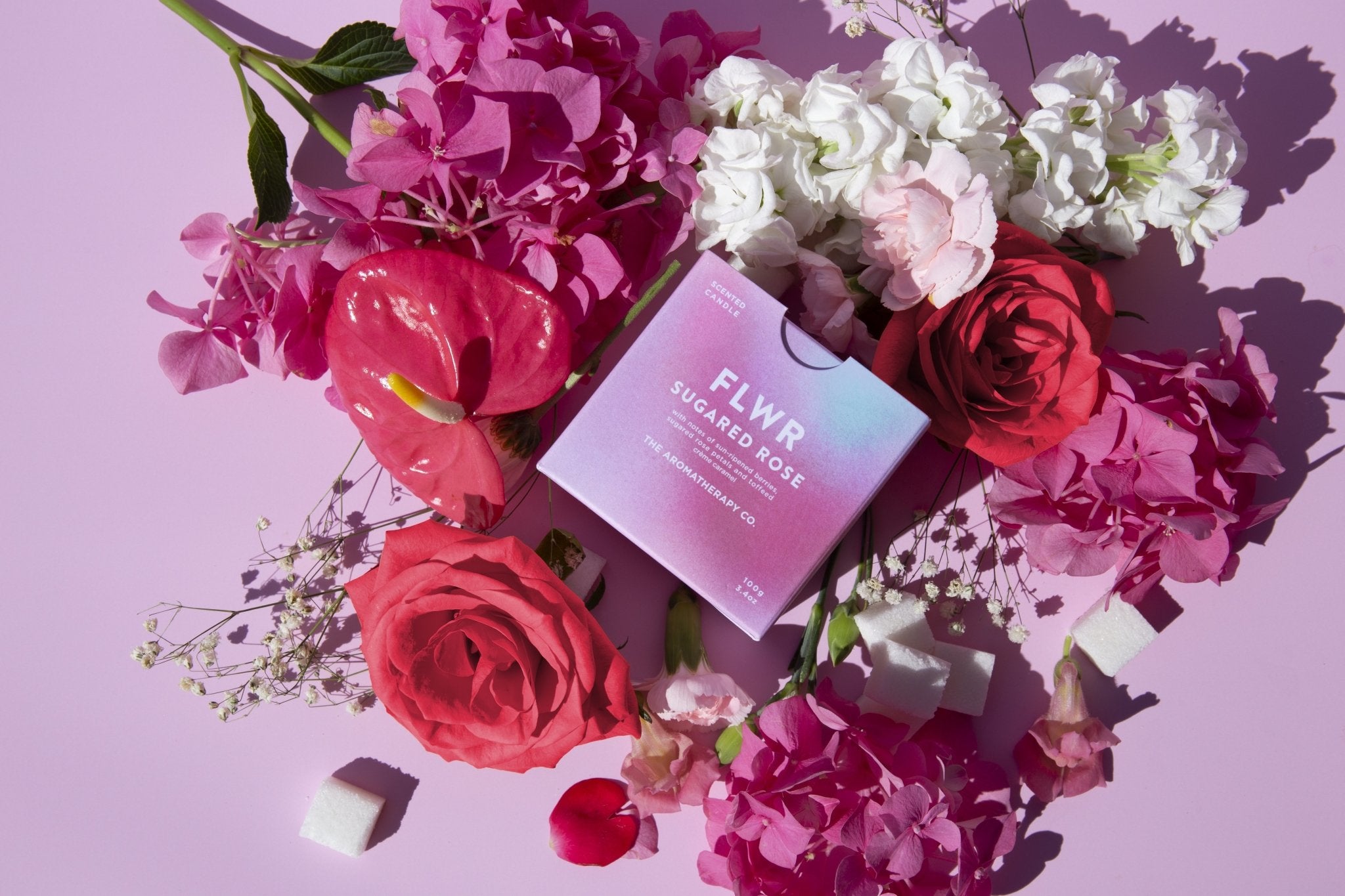 FLWR Candle - Sugared Rose - The Green Room Flower Company