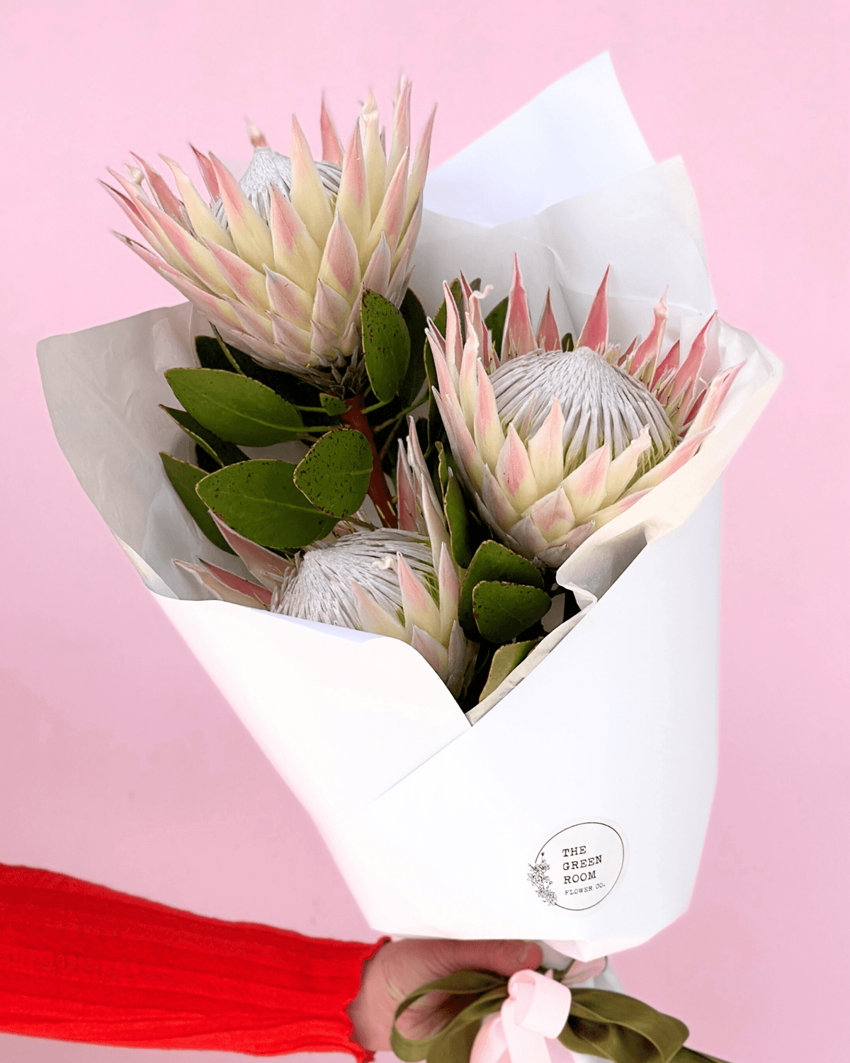 Seasonal Special: King Proteas - The Green Room Flower Company