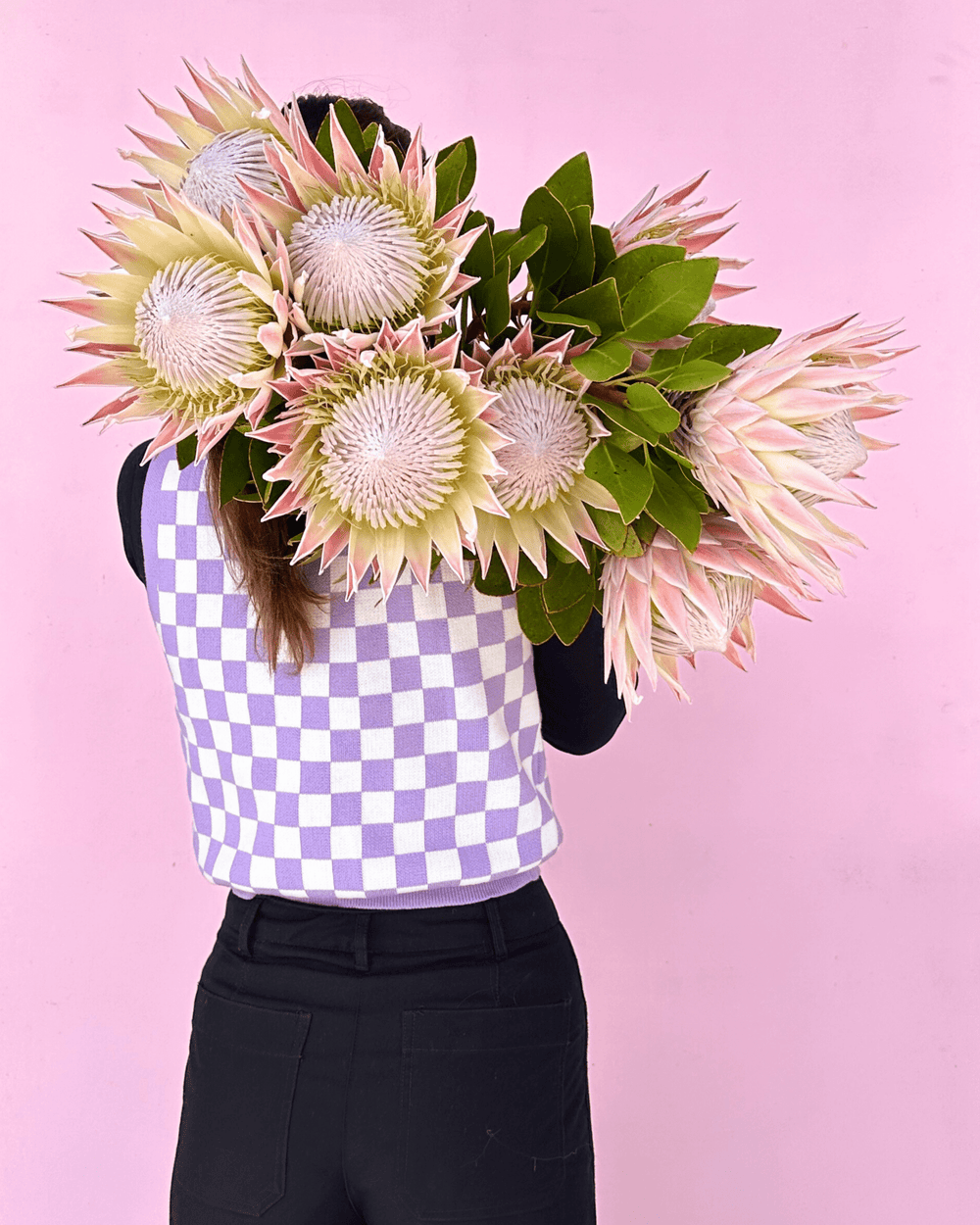 Seasonal Special: King Proteas - The Green Room Flower Company