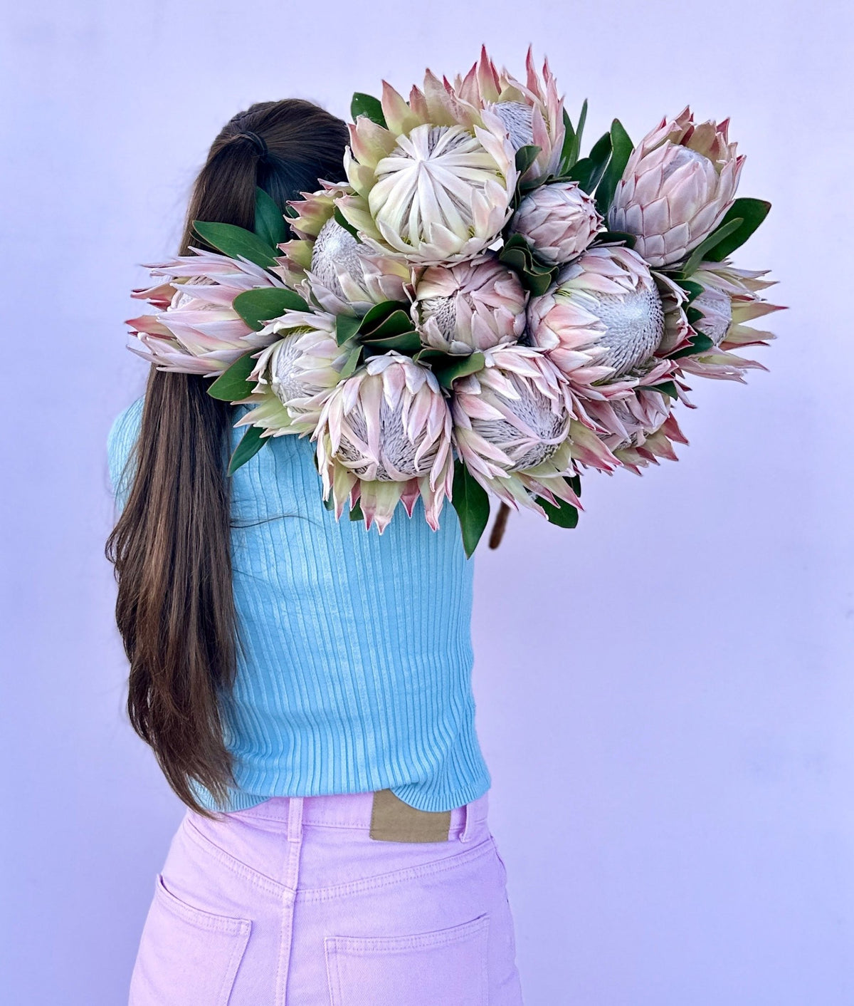 Seasonal Special: King Proteas - The Green Room Flower Company