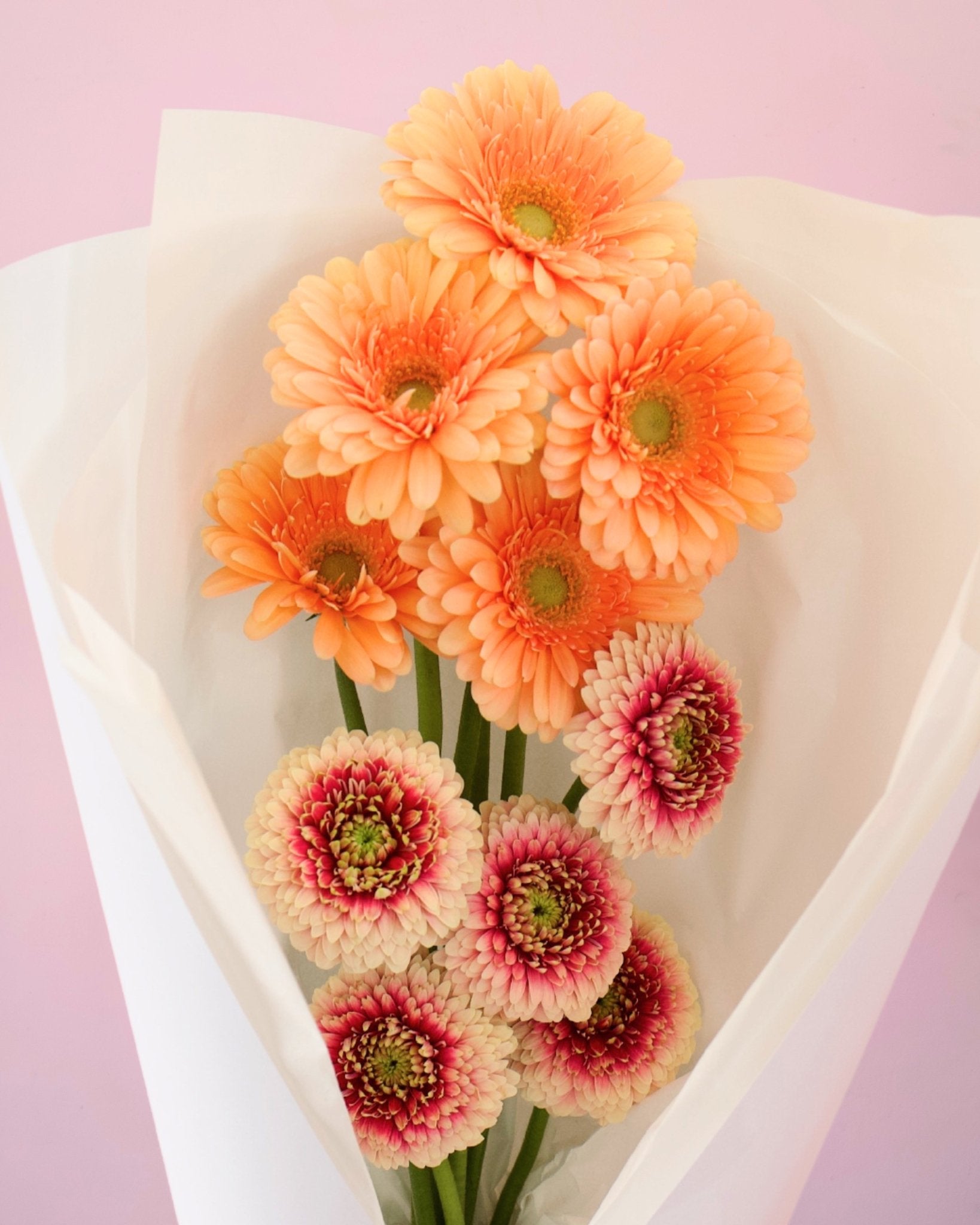 THE GERBERAS - The Green Room Flower Company