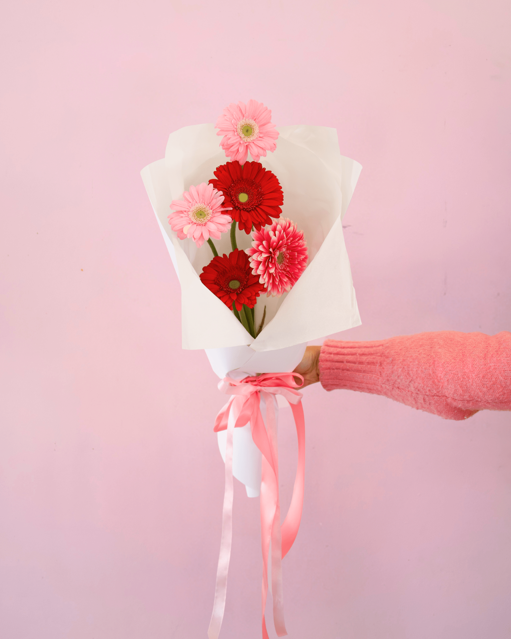 THE GERBERAS - The Green Room Flower Company