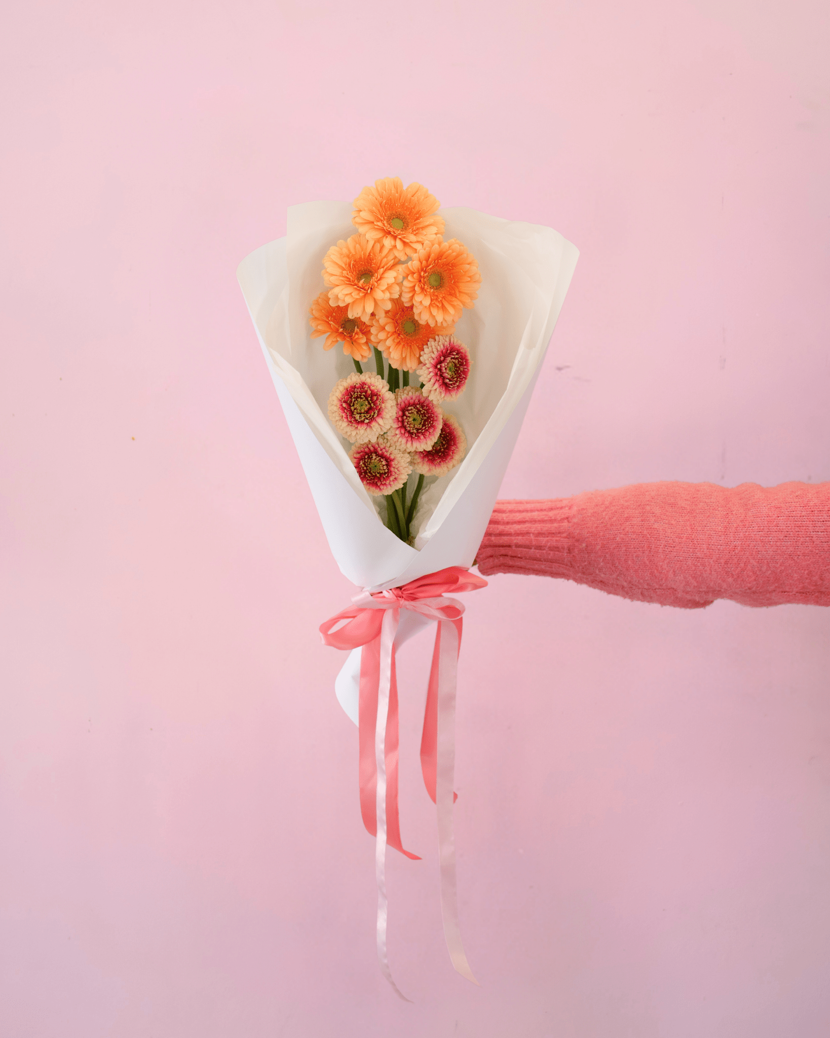 THE GERBERAS - The Green Room Flower Company