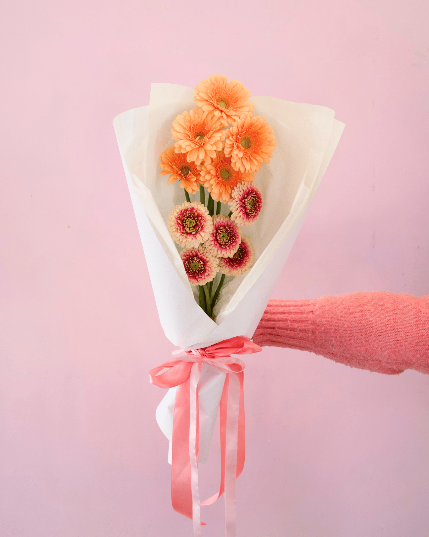 THE GERBERAS - The Green Room Flower Company