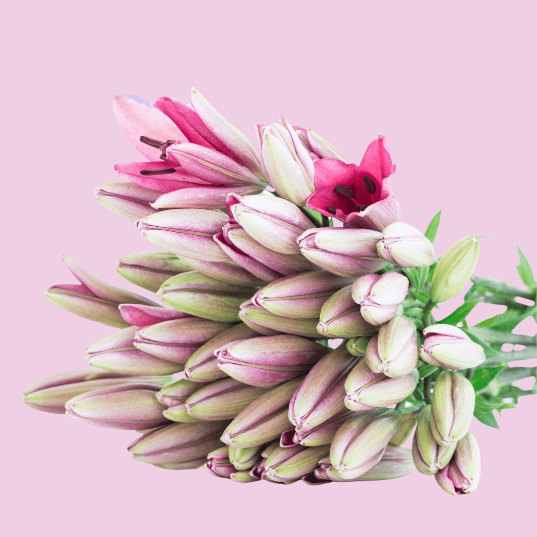 THE LILIES - The Green Room Flower Company